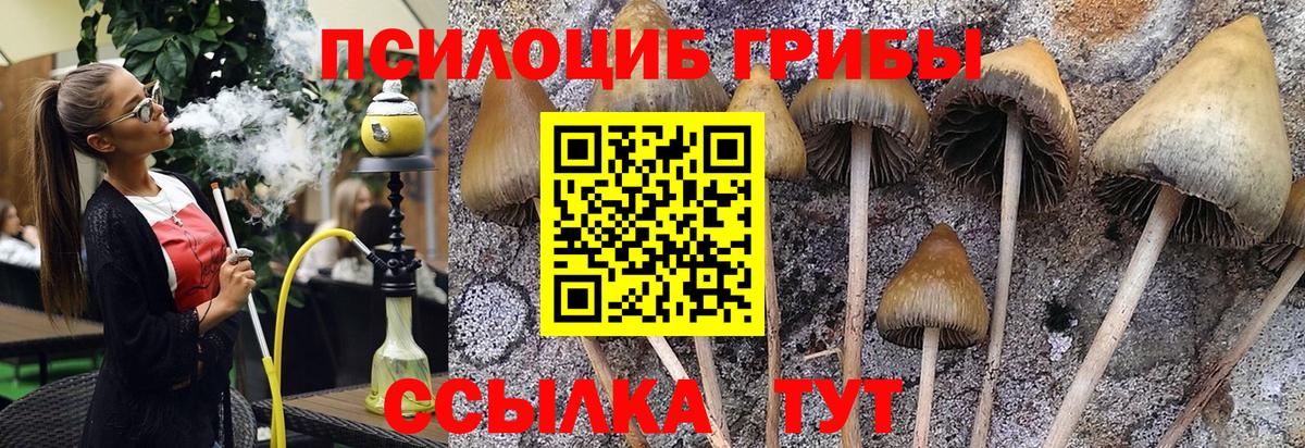 Псилоцибиновые грибы MAGIC MUSHROOMS  Вход с VPN  Долгопрудный  Псилоцибиновые грибы мухоморы 