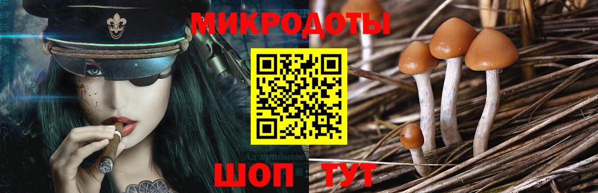 Псилоцибиновые грибы ЛСД Долгопрудный